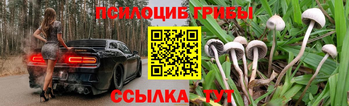 Галлюциногенные грибы прущие грибы  Вход с VPN  Кушва 