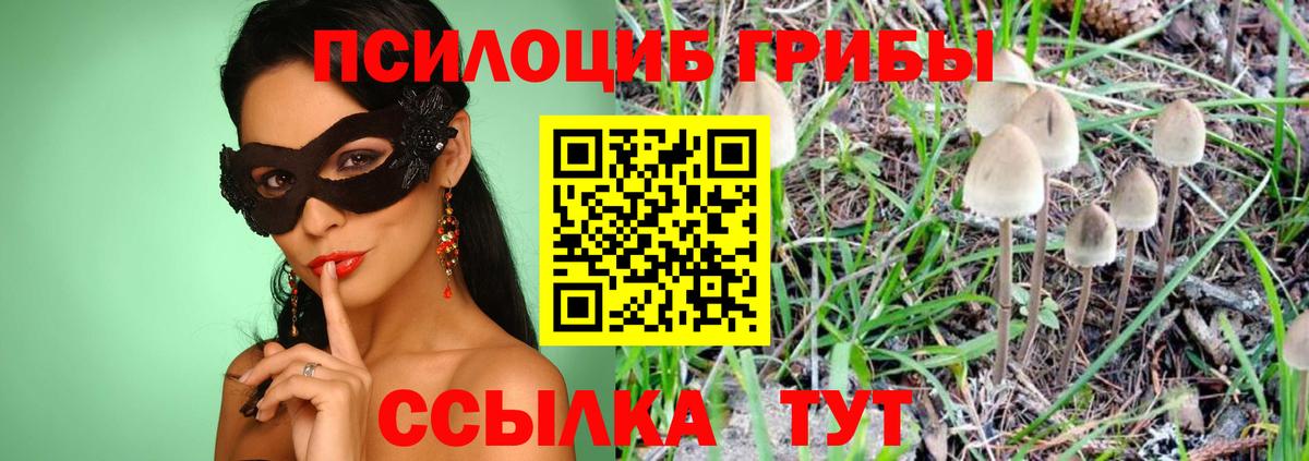 Галлюциногенные грибы MAGIC MUSHROOMS Кушва